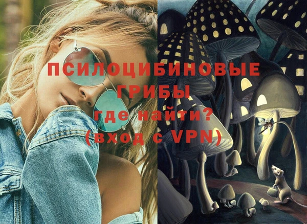 ешки Бердск