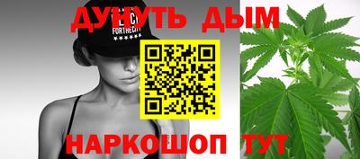 прущие крисы Гай