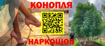 молекула духа Берёзовский