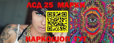 сатива Гатчина