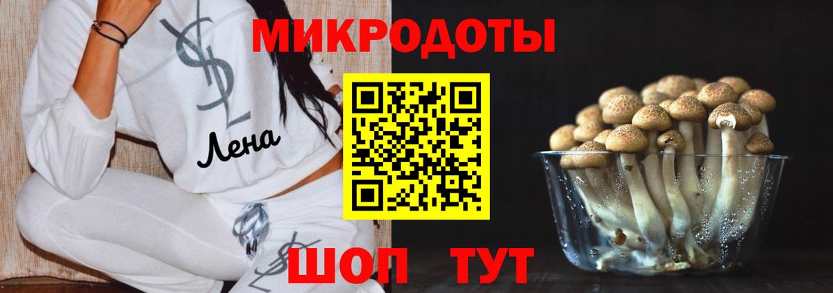 Дмитров  Галлюциногенные грибы Psilocybe  Вход с VPN  Псилоцибиновые грибы Magic Shrooms 