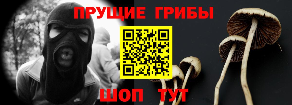 Псилоцибиновые грибы Magic Shrooms  Дмитров 