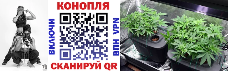 маркетплейс наркотические препараты Дмитров МАРИХУАНА VHQ
